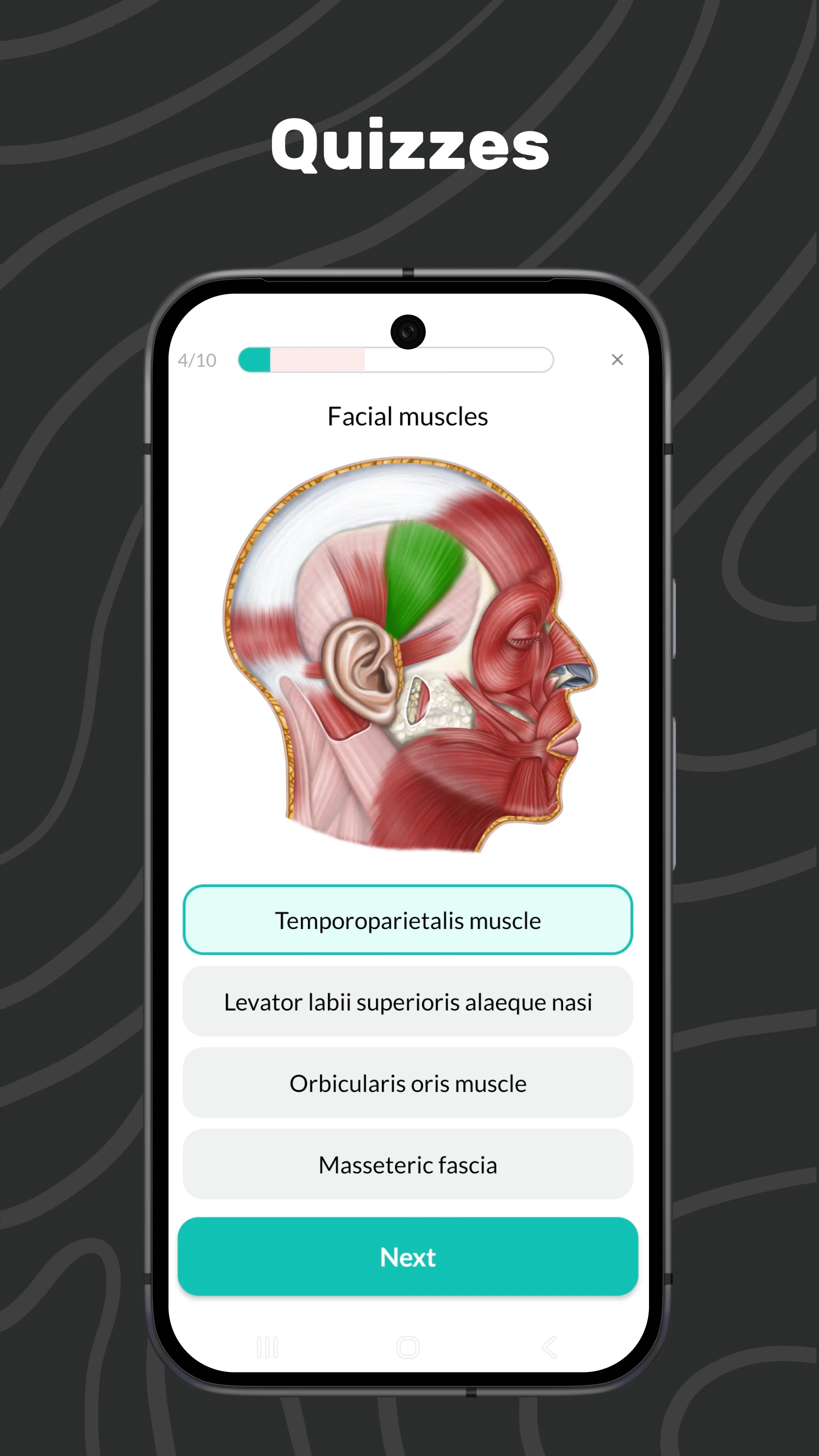 Easy Anatomy 3D screenshot