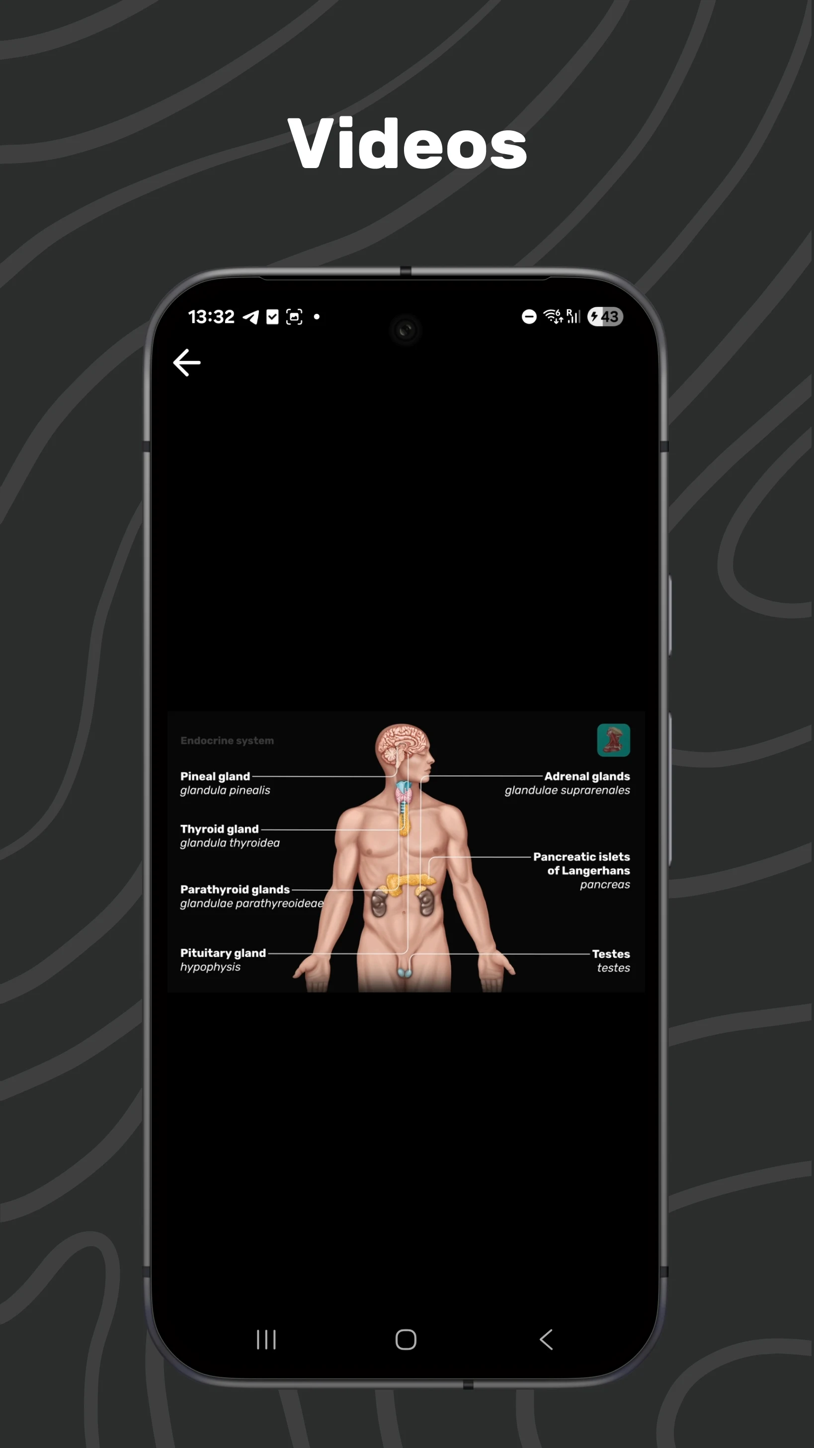 Easy Anatomy 3D screenshot