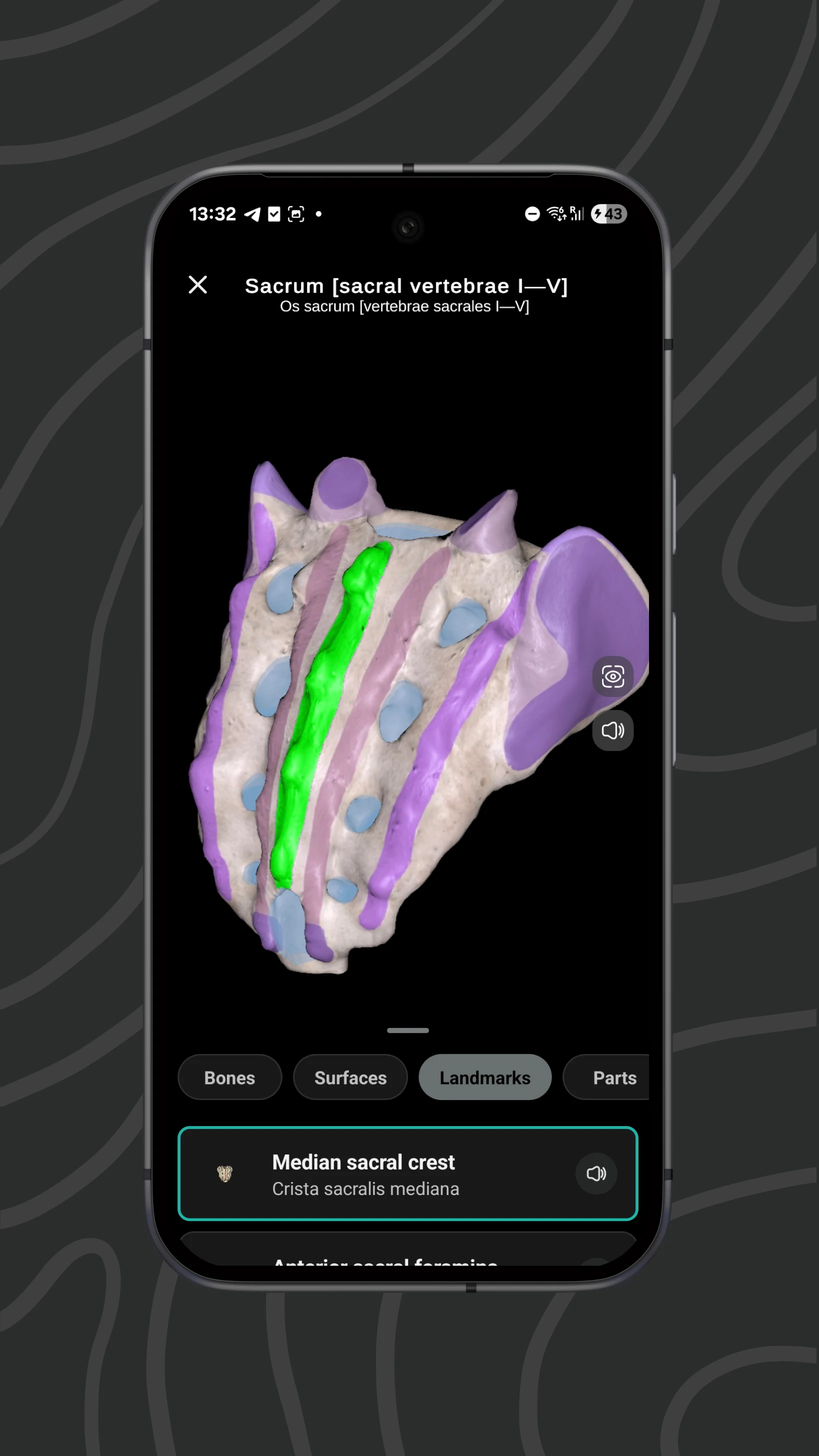Easy Anatomy 3D screenshot