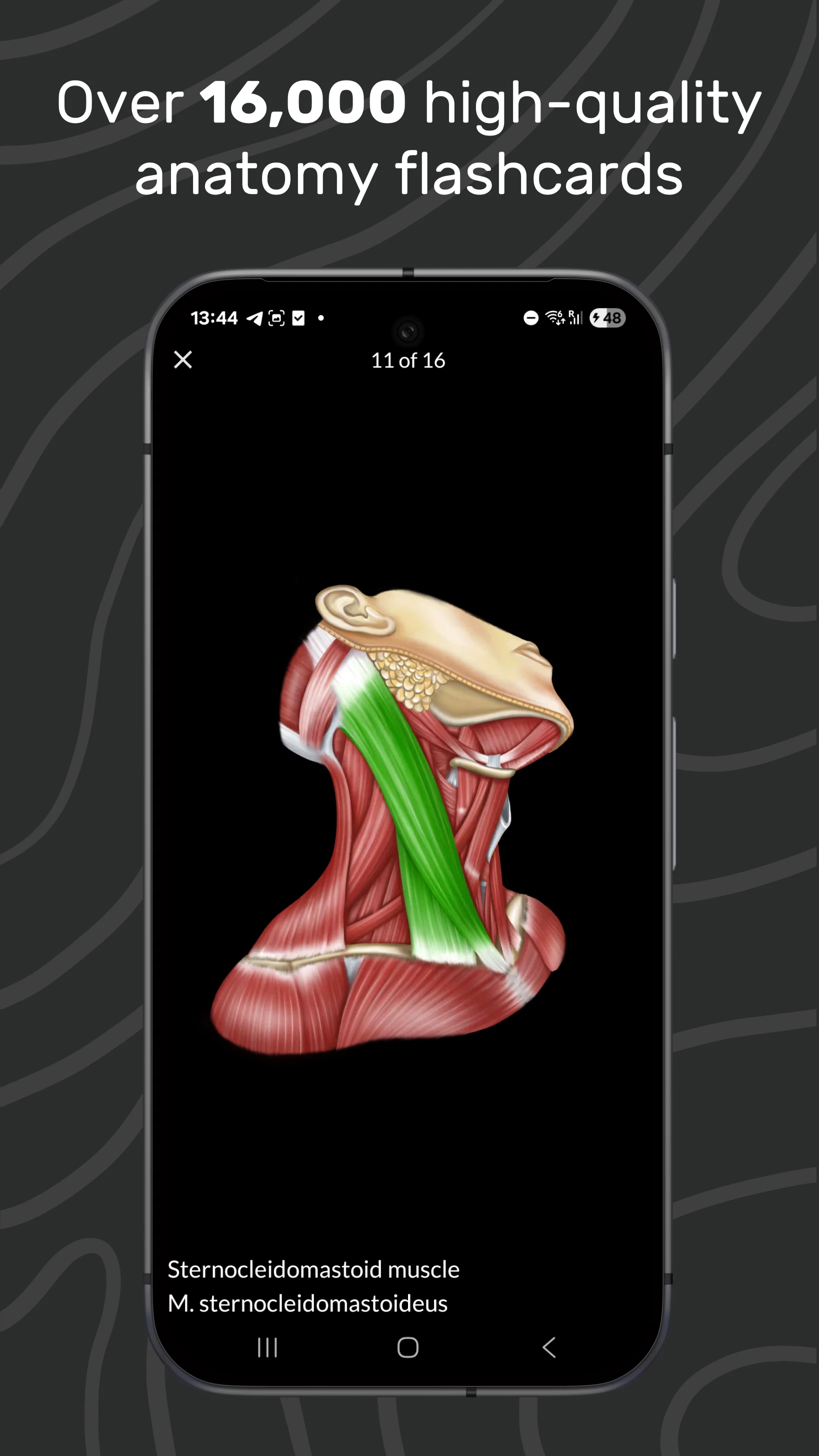 Easy Anatomy 3D screenshot
